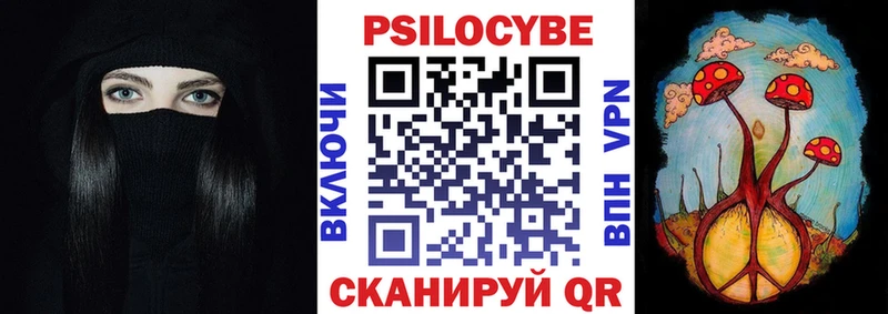 Галлюциногенные грибы Magic Shrooms  Купить  Судогда 