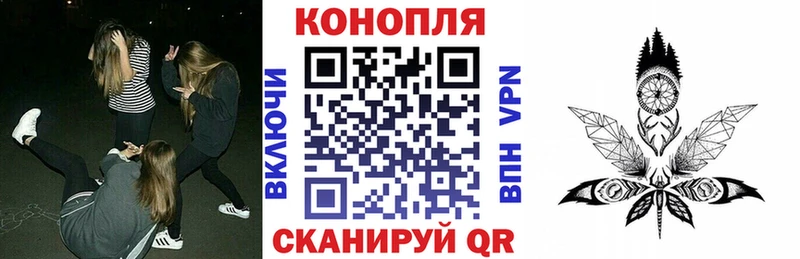 Купить где  Судогда  Бошки Шишки сатива 